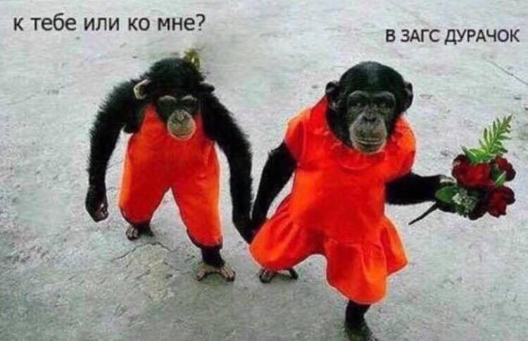 Суть женской натуры ?