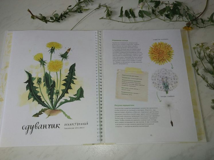 Книги юного ботаника.
