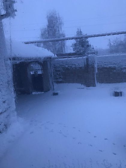 Пока мы спали,до нас наконец-то снег доехал❄️