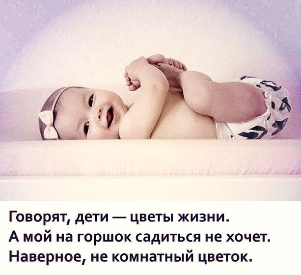 Про моего ??