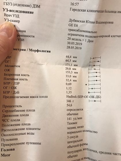 Скрининг