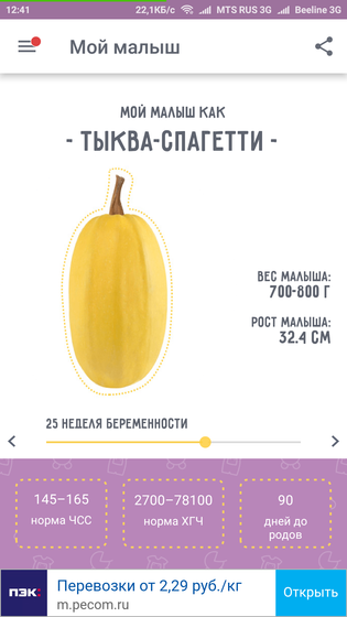 25-26 недели.