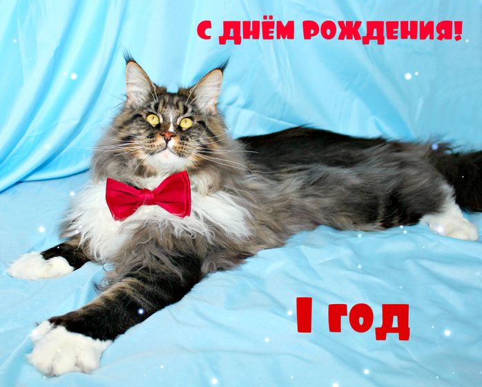 Сопли 2 и новости