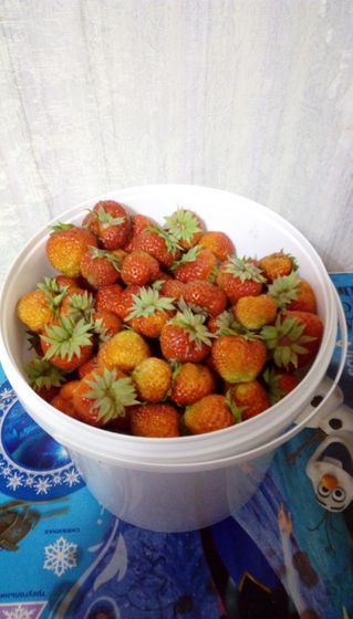 Клубничка))
