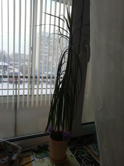 Девочки, подскажите пожалуйста, что
