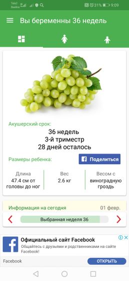 Ещё не немного, ещё чуть чуть ???