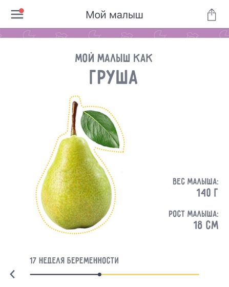 17 неделек :)