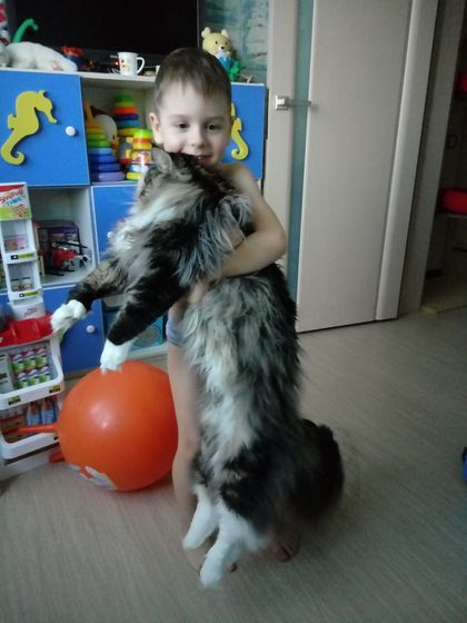 Сопли 2 и новости