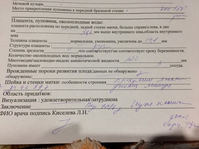 Низкая плацентация?! Что за «зверь»?