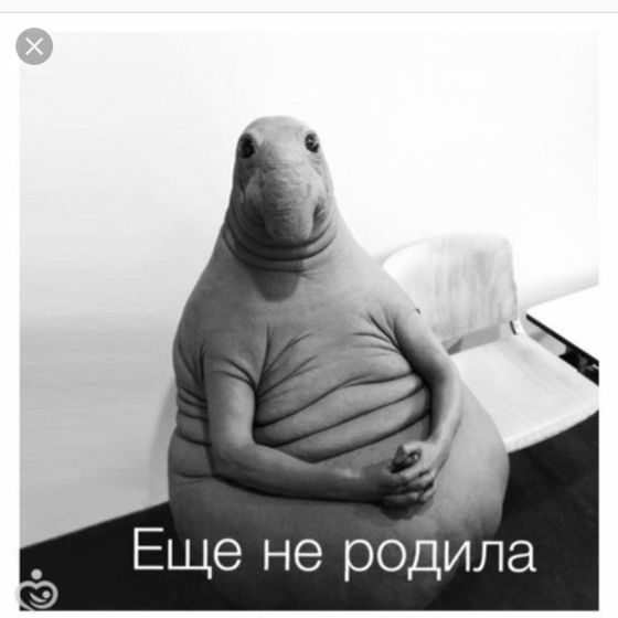 Ждемс тишина)) малышка выходи