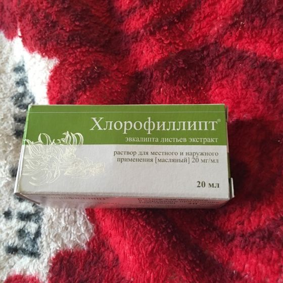 Хлорофиллипт масляный