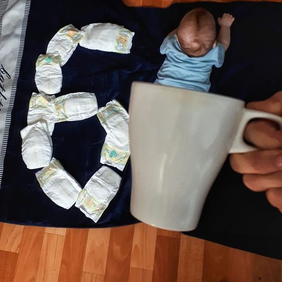 6 месяцев