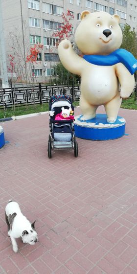 Emmaljunga продаю