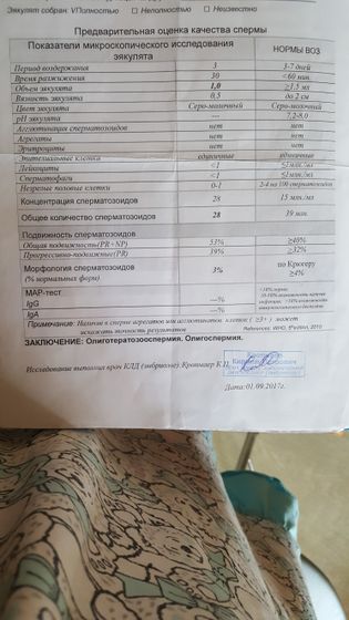 Сг на понедельник