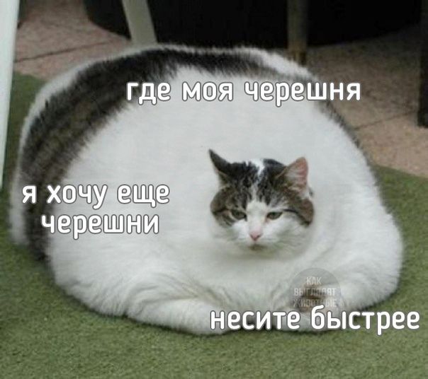 Лето)