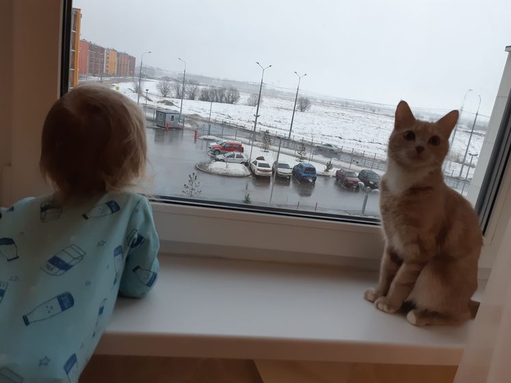 Распирает меня! Российский День кошек.