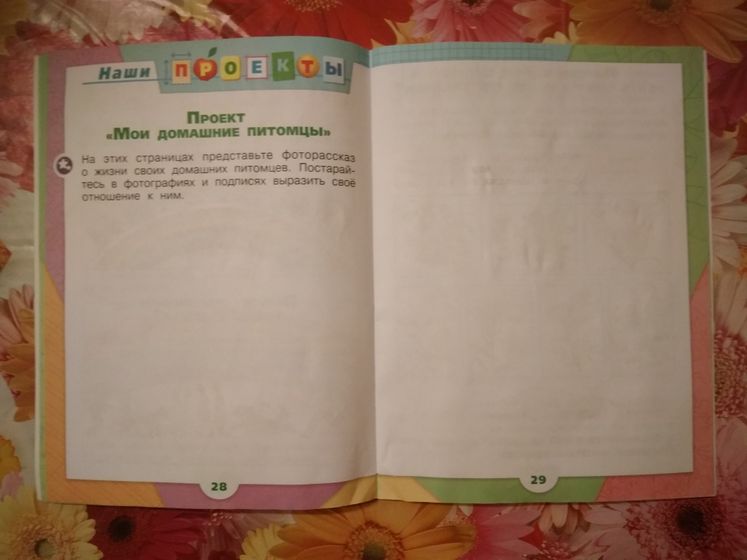 Презентация