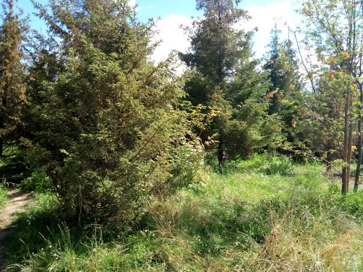 Парк Зарядье. Ч.1. Прогулки по парку