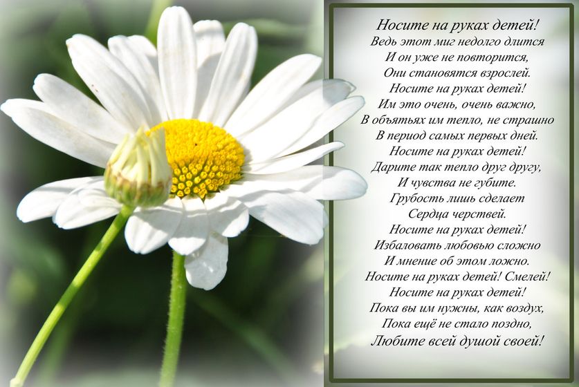 Носите деток на руках