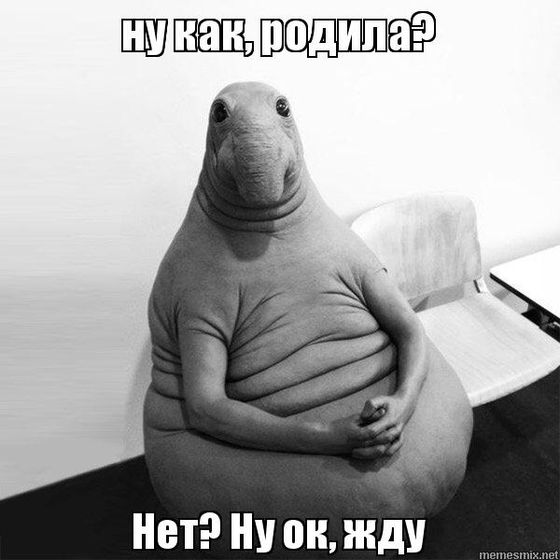 - Ну что родила????♀️?