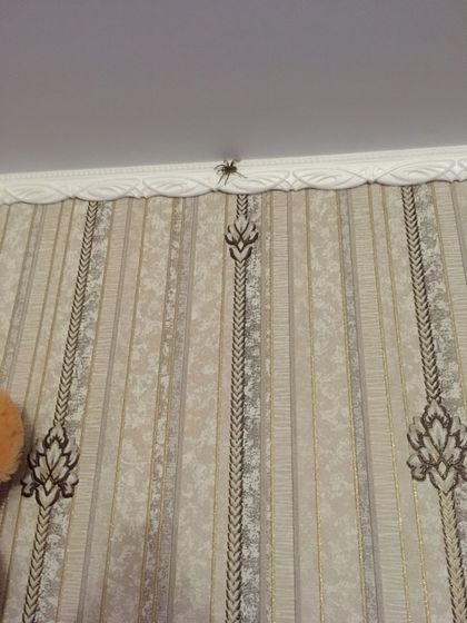 Приехала погостить к родителям.