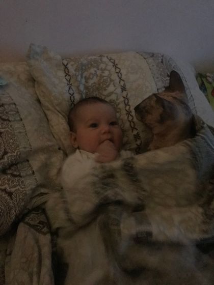 Памятка)