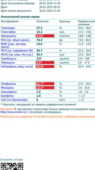 Общий анализ крови расшифровка