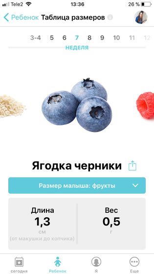 Пошла 8ая неделя ?