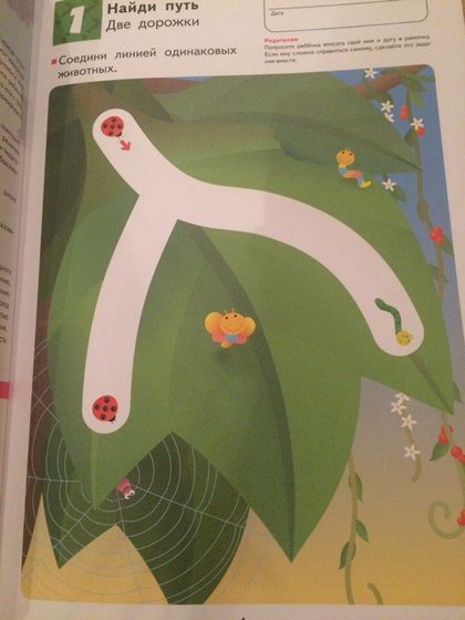 Тетради Kumon
