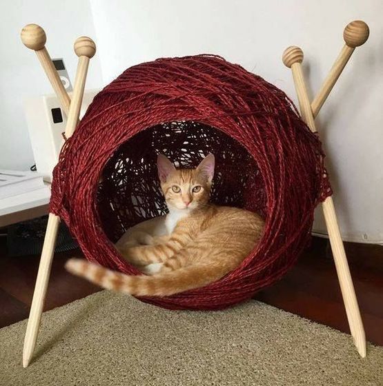 Для животин