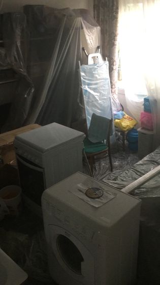 Начали гнездование