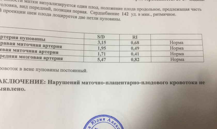 Сегодня ходила на доплерометрию.