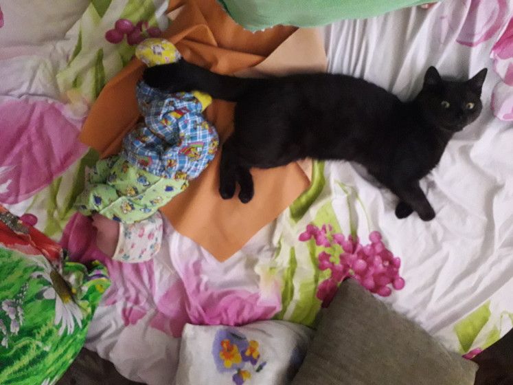 Конкурс