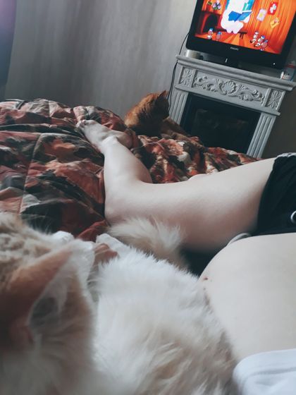 Доброе утро/день
