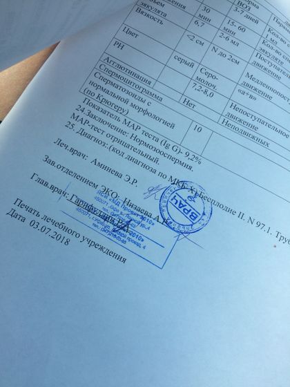 Выписка