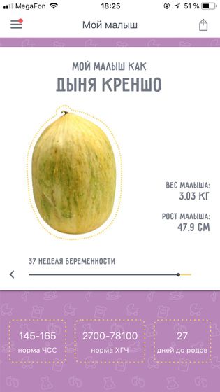 36 недель