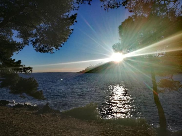 Орели во французском школьном лагере на неделю.Класс моря.