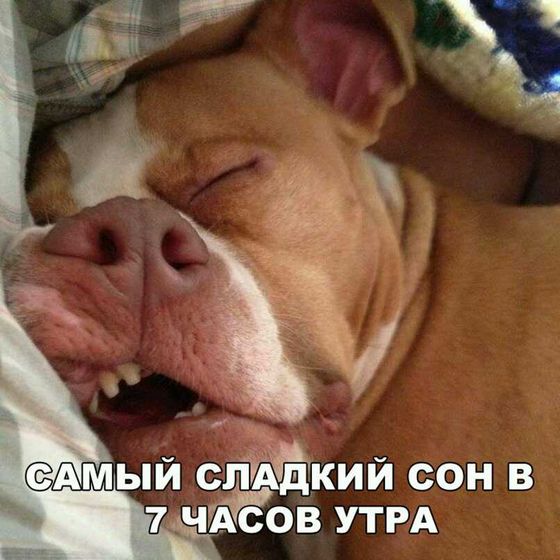 Но я до него не дотянула????С утром вас!????