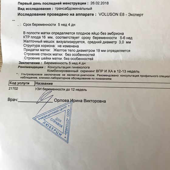 Куда пропало желтое тело на 8 неделе беременности ?