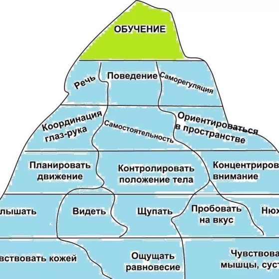 Сенсорная интеграция и её нарушения. ?