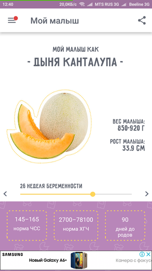 25-26 недели.