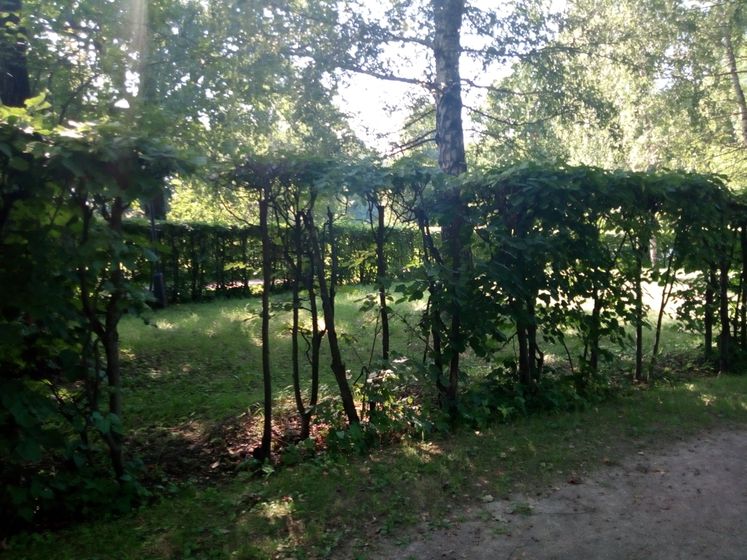 Прогулка в усадьбе Кусково. Ч.1