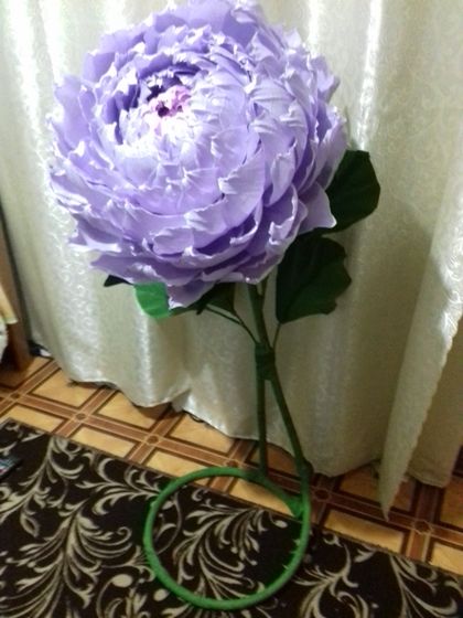 Поделюсь с вами красотой