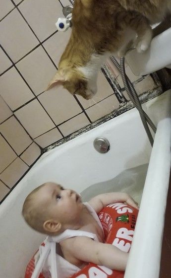Конкурс 