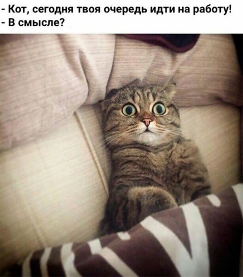 Немного позитива с утра