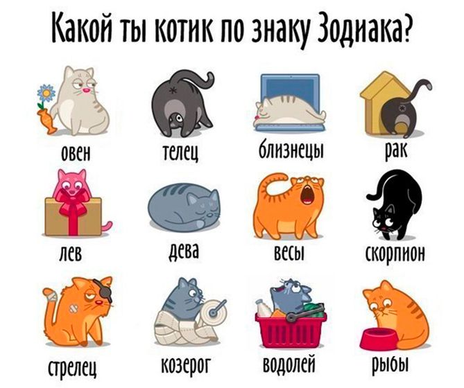 Гороскоп