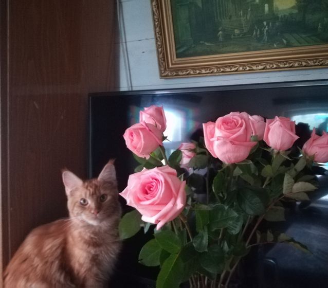 Вот он какой ...