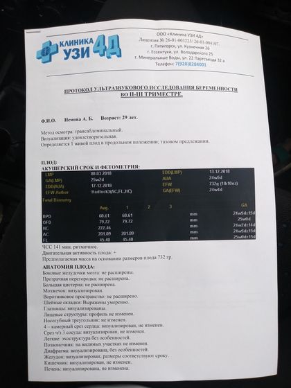 25 неделя