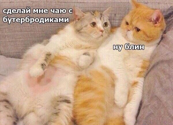 Ровно месяц до ПДР,