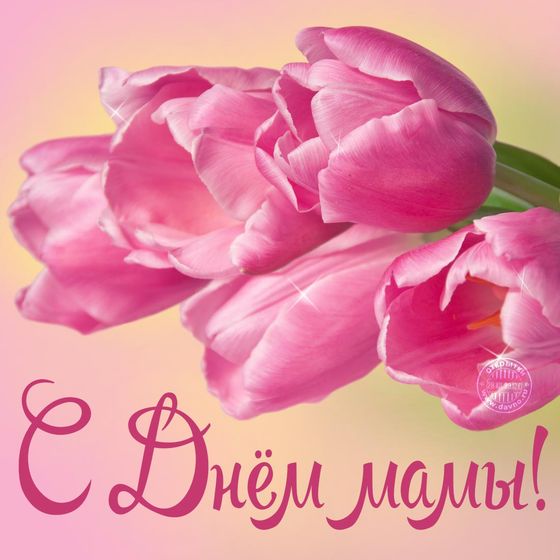 С днем мамы всех!!!